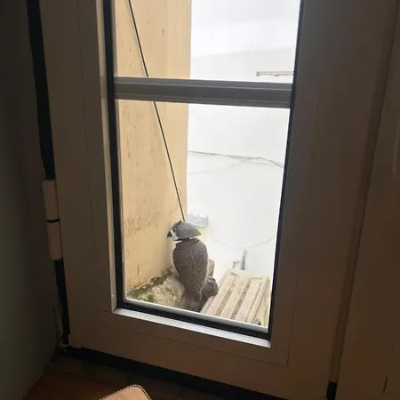 Alfama Downtown Corner Daire *